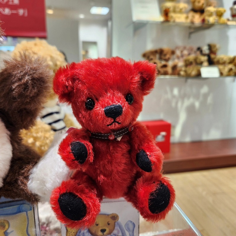 teddy-Photo000