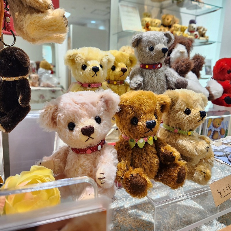 teddy-Photo001