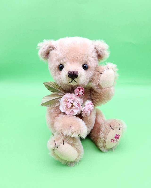 teddy-Photo004