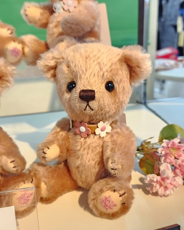 teddy-Photo005