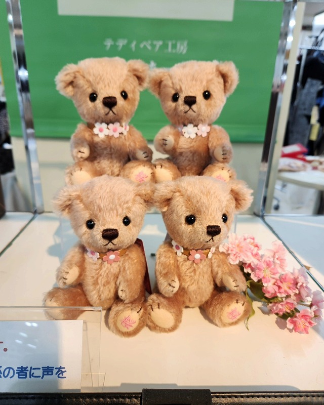 teddy-Photo006