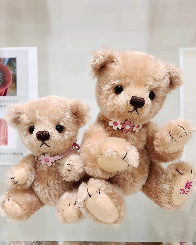 teddy-Photo008