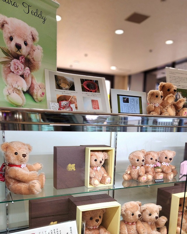 teddy-Photo011