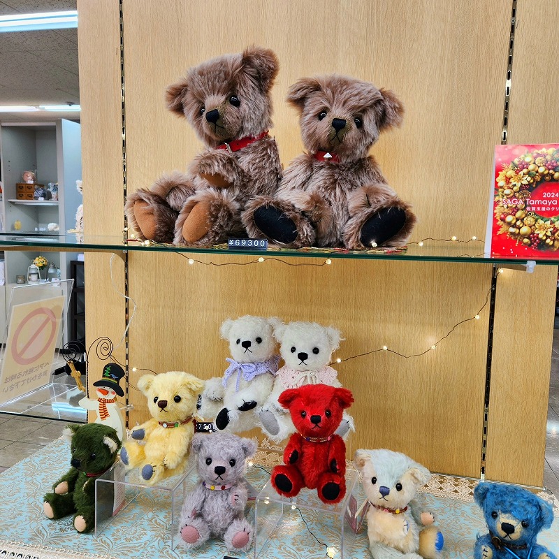 teddy-Photo016