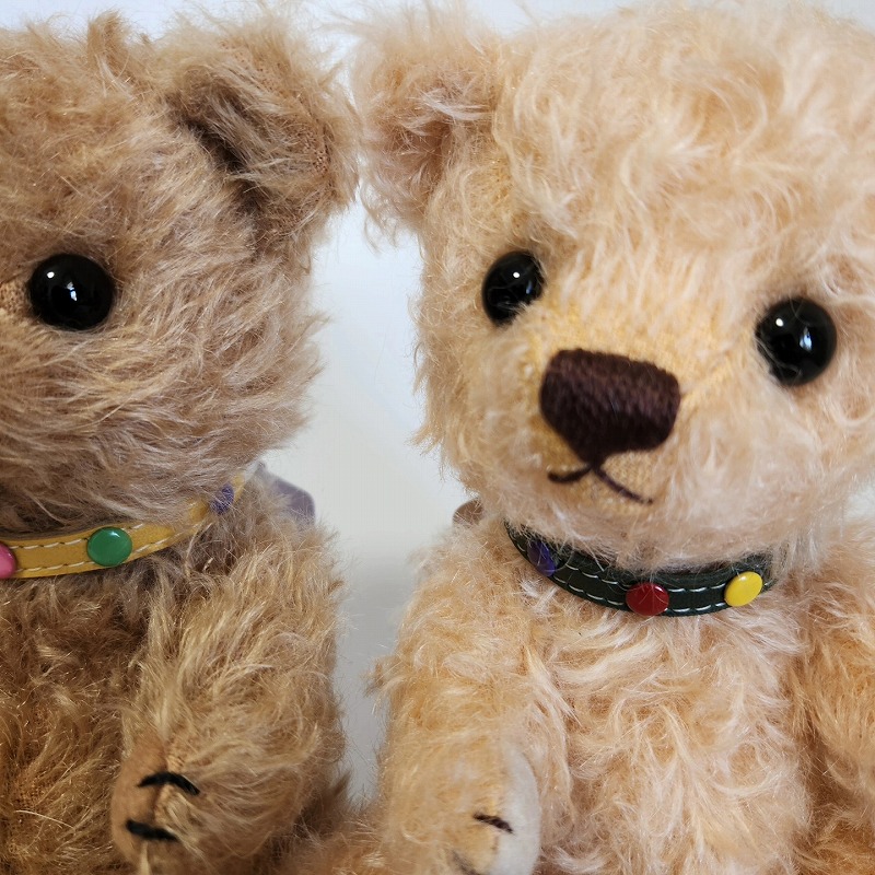 teddy-Photo017