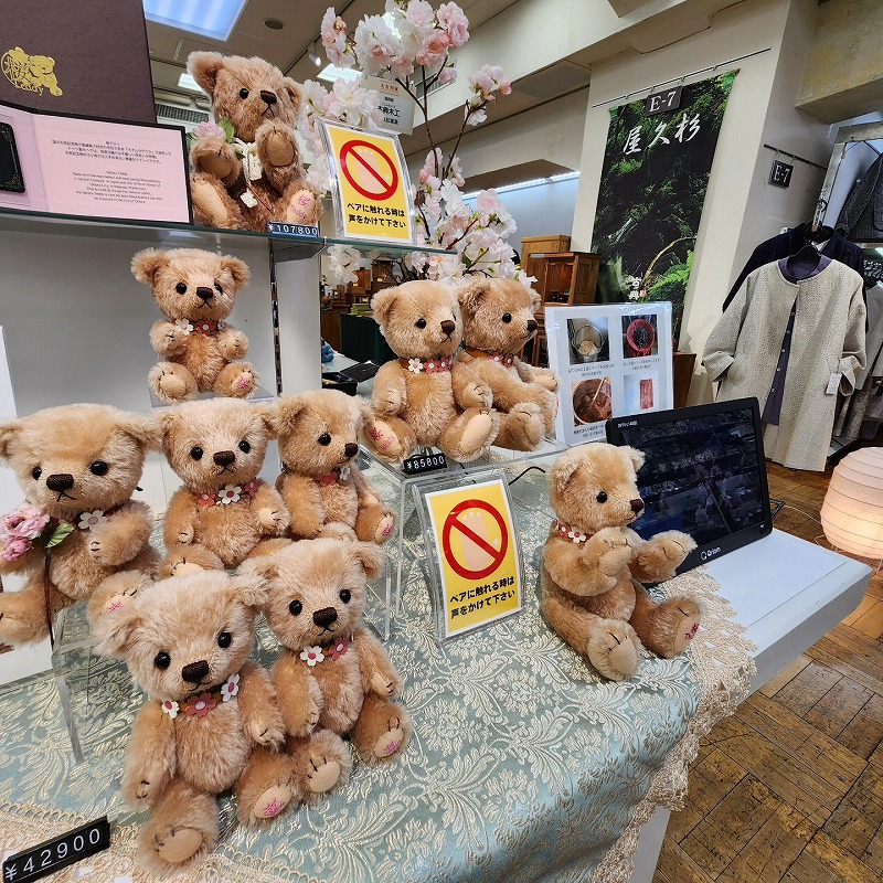 teddy-Photo018