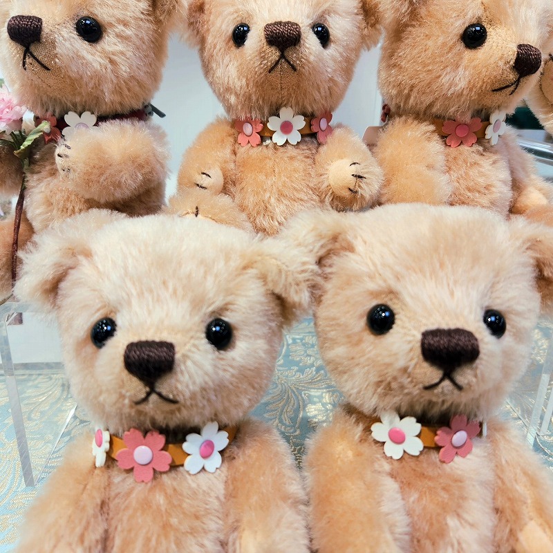 teddy-Photo019