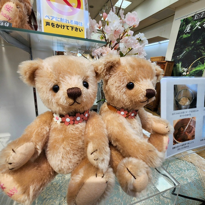 teddy-Photo020
