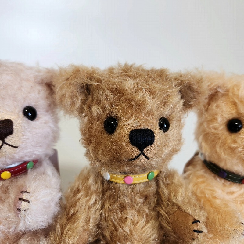 teddy-Photo022