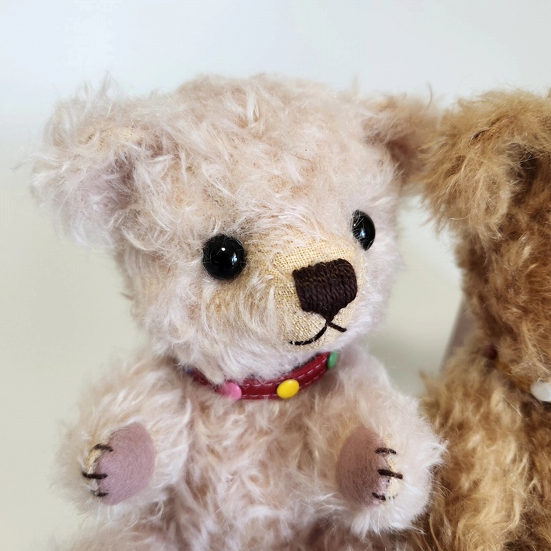 teddy-Photo023