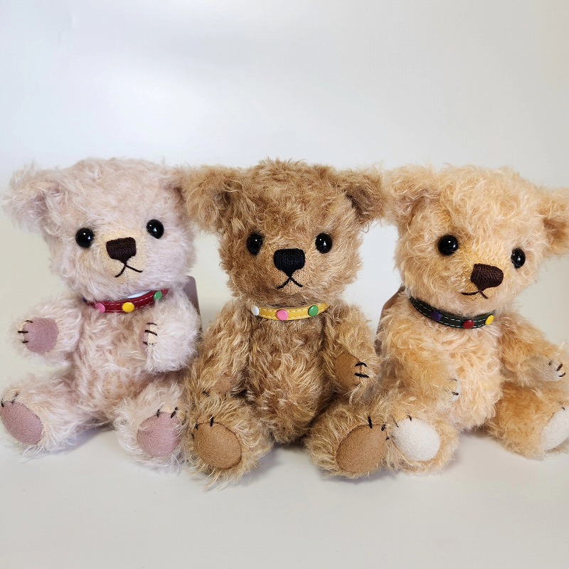 teddy-Photo024