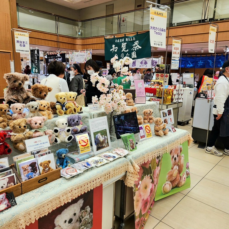 teddy-Photo025