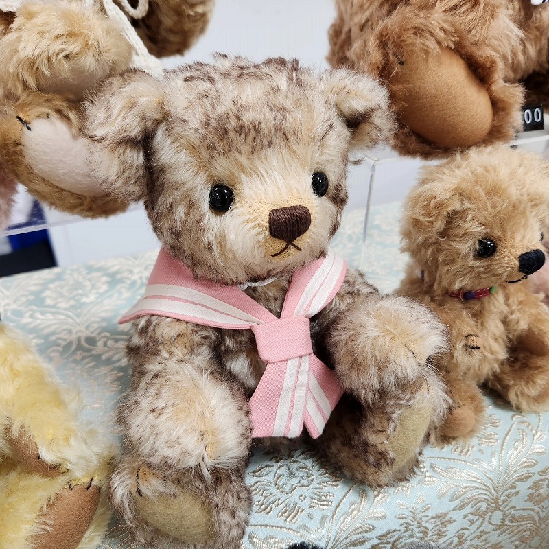 teddy-Photo027