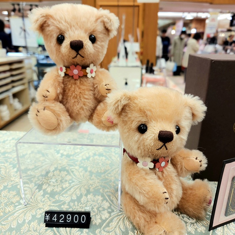 teddy-Photo028