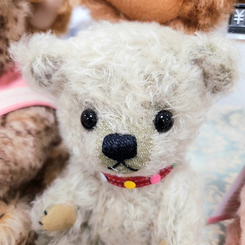 teddy-Photo029