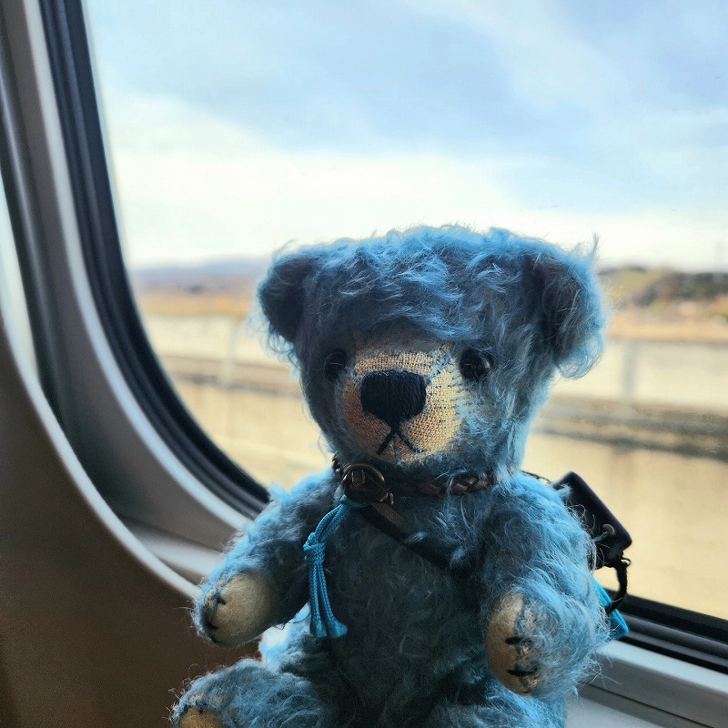 teddy-Photo030