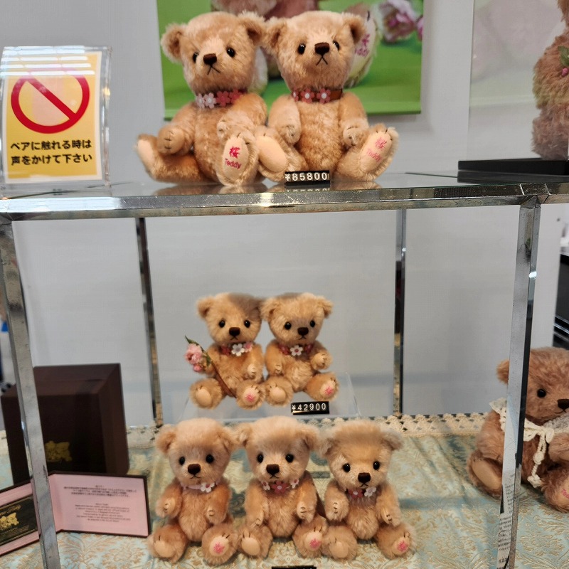 teddy-Photo031