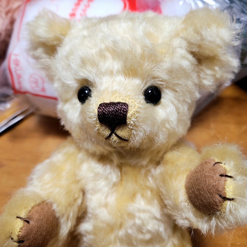 teddy-Photo032