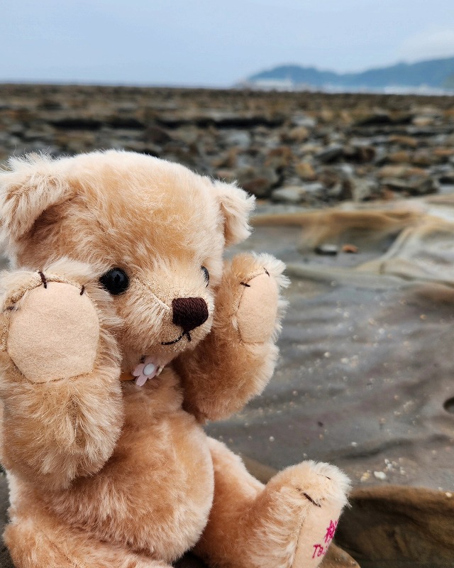teddy-Photo033