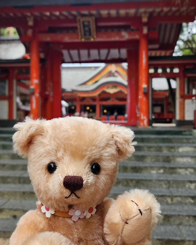 teddy-Photo034