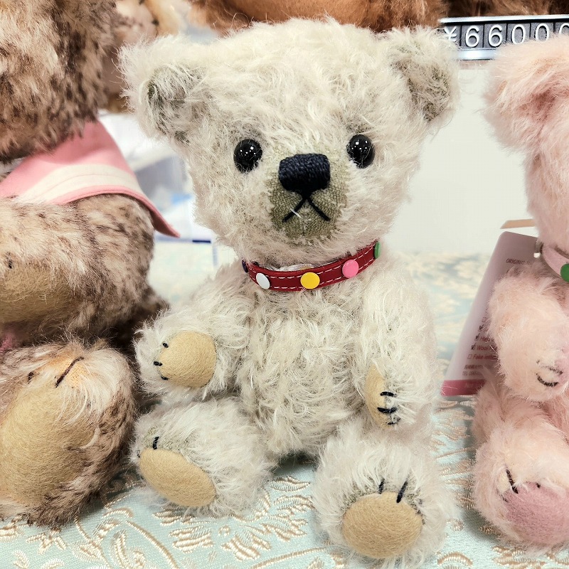 teddy-Photo035