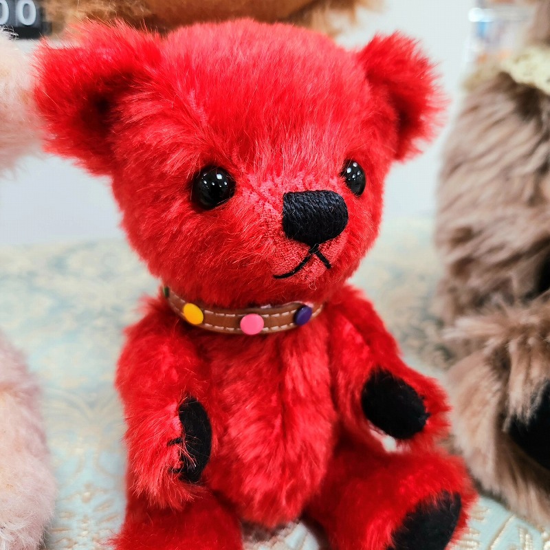 teddy-Photo036