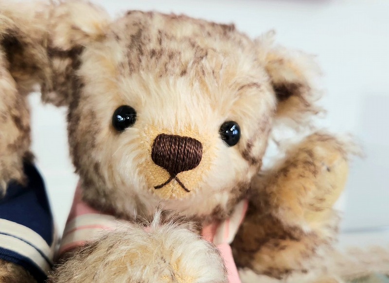 teddy-Photo038