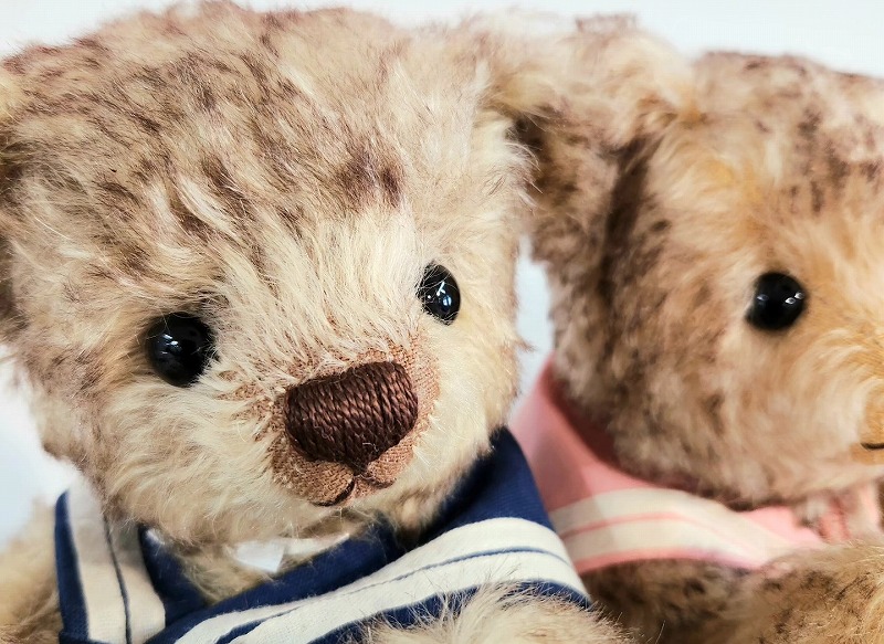 teddy-Photo039