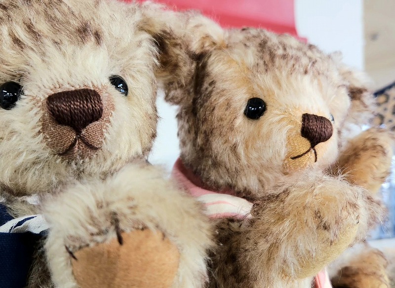 teddy-Photo040
