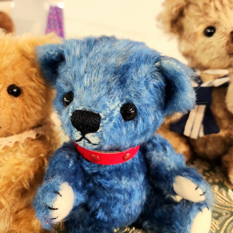 teddy-Photo041