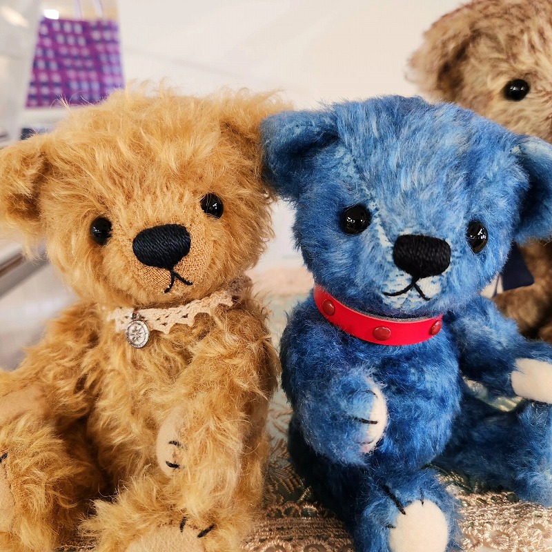 teddy-Photo042