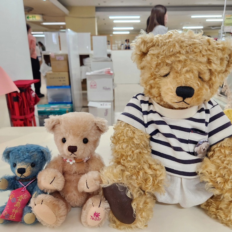 teddy-Photo043