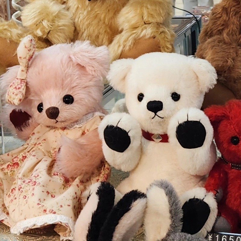 teddy-Photo044