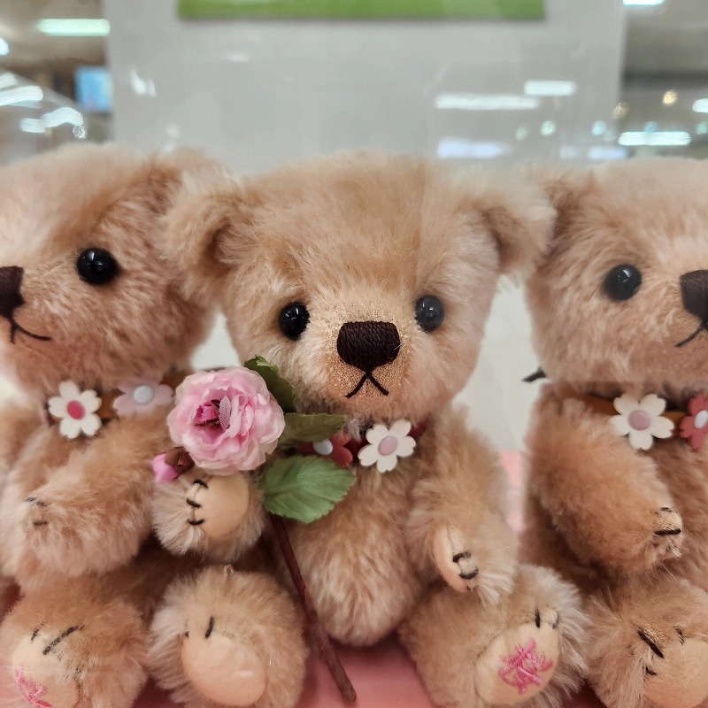 teddy-Photo046