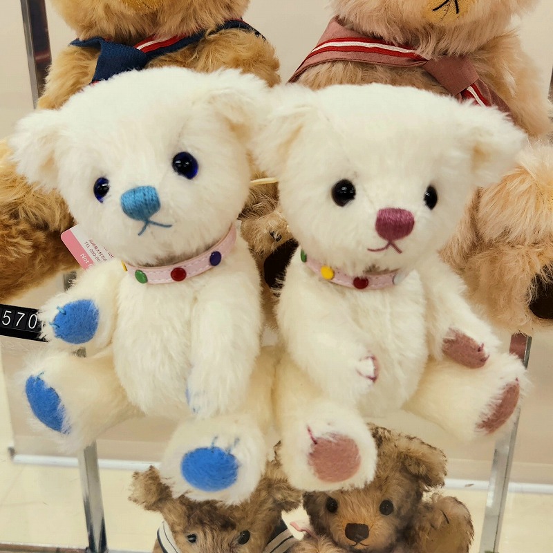 teddy-Photo047