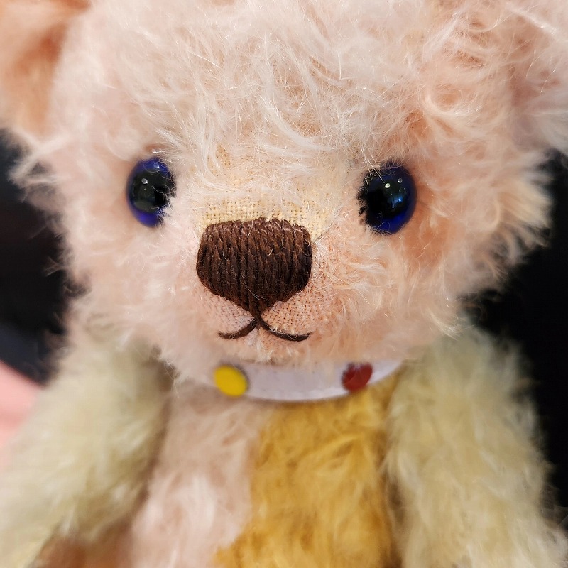 teddy-Photo050