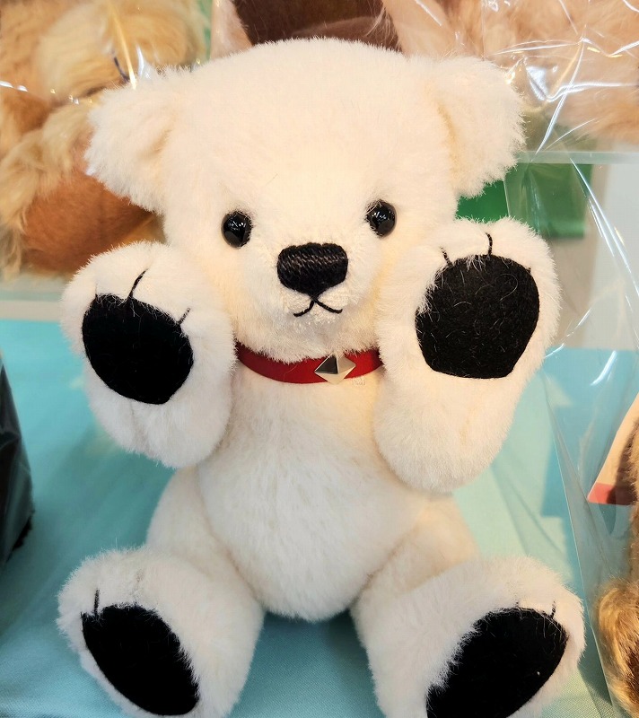 teddy-Photo051