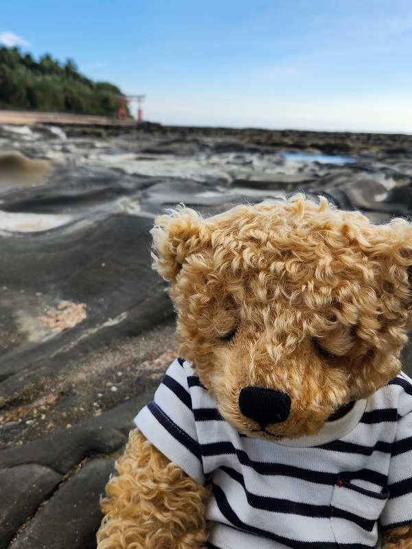 teddy-Photo060