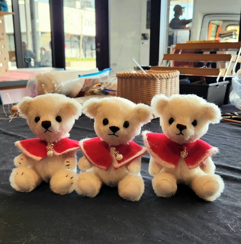 teddy-Photo063
