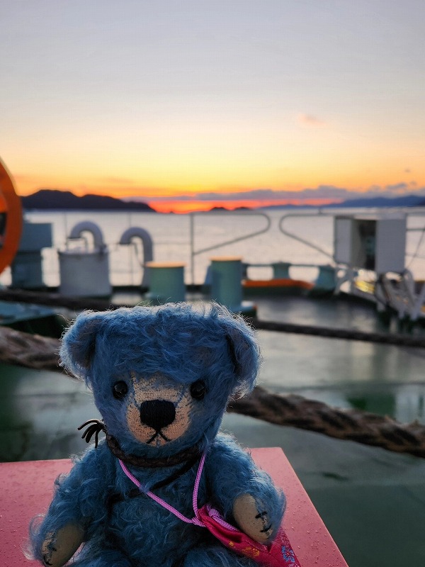 teddy-Photo065