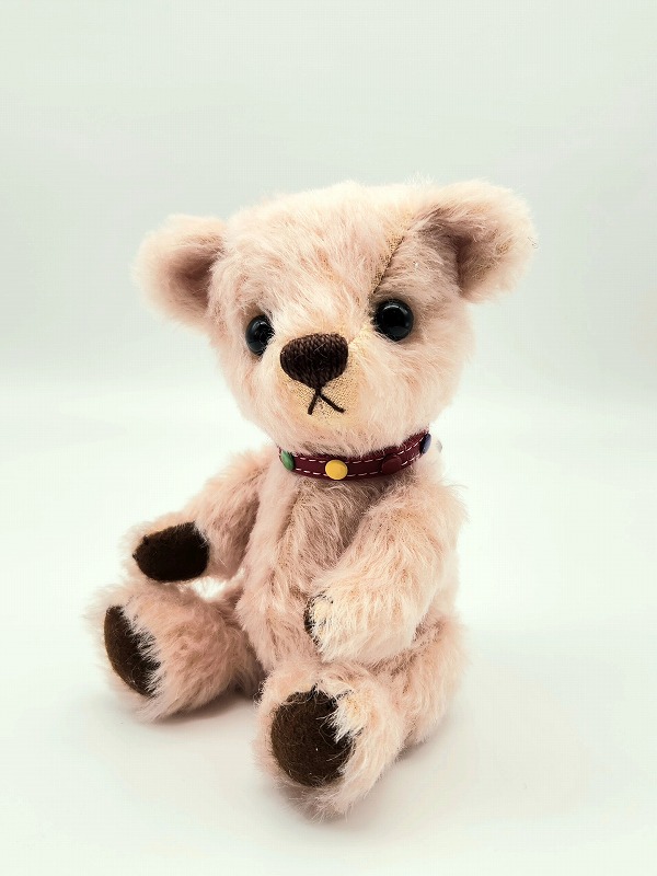 teddy-Photo066